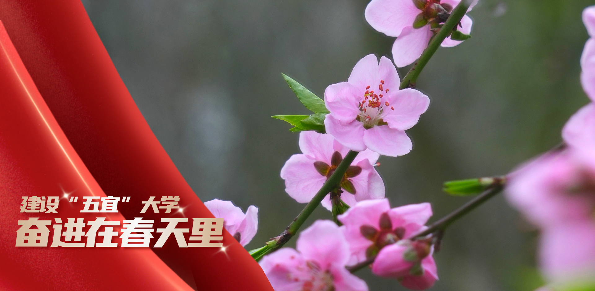 校园春天有“新”意